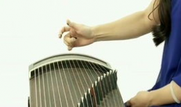 古筝入门教学视频,入门教学视频精华解析